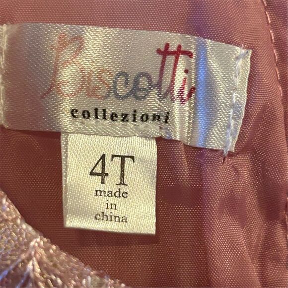 Biscotti Girls 4T Pink Tulle Ruffled Party Dress Sleeveless Knee Length - Picture 6 of 12